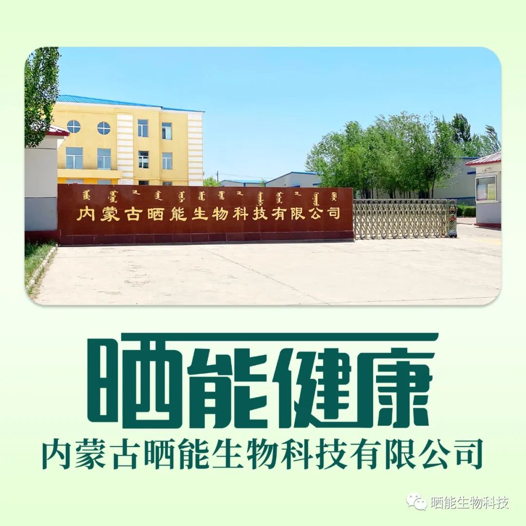 【孟课健康】​关注员工身心健康，提升企业整体竞争力